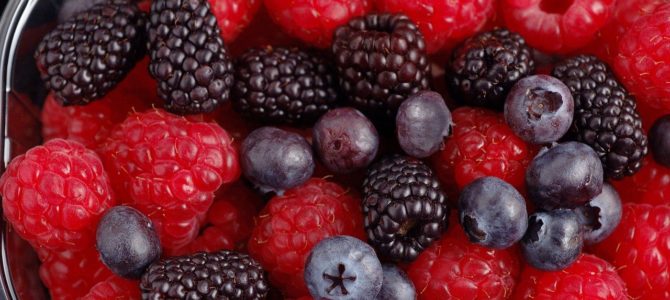 Samedi 7/03 à la Ferme Nos Pilifs : Culture des petits fruits rouges chez soi Samedi 7/03 à la Ferme Nos Pilifs : Culture des petits fruits rouges chez soi