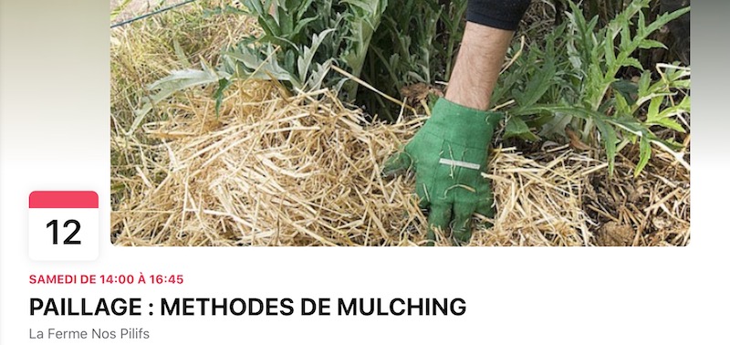 Samedi 12/02 atelier aux Pilifs : le paillage et les méthodes de mulching.