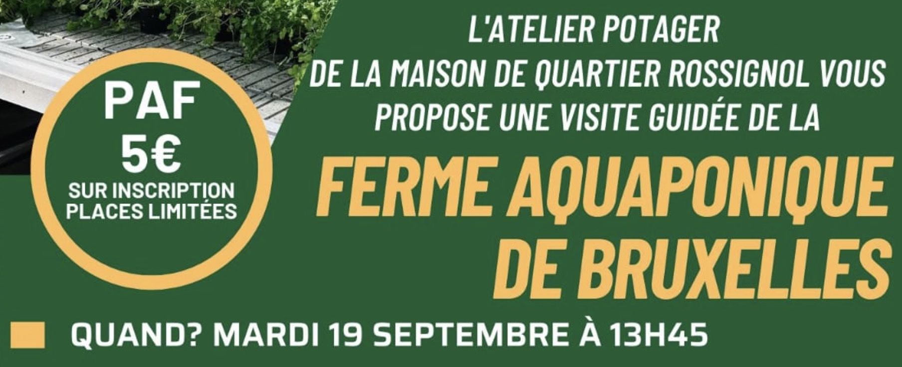 19/09, visite d’une ferme aquaponique