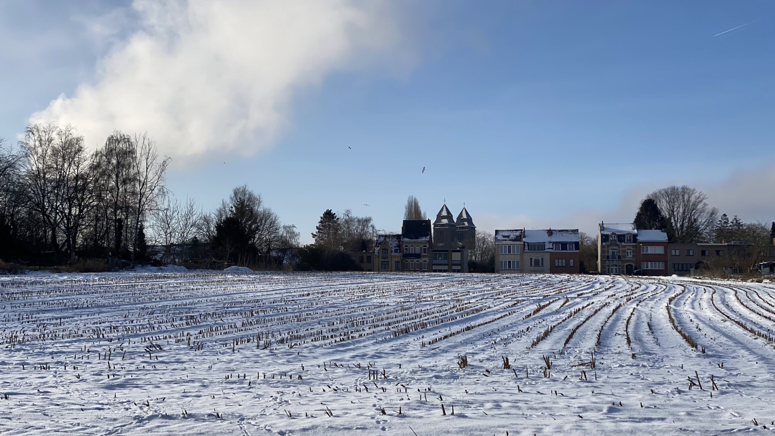 vacances d’hiver à l’AMO