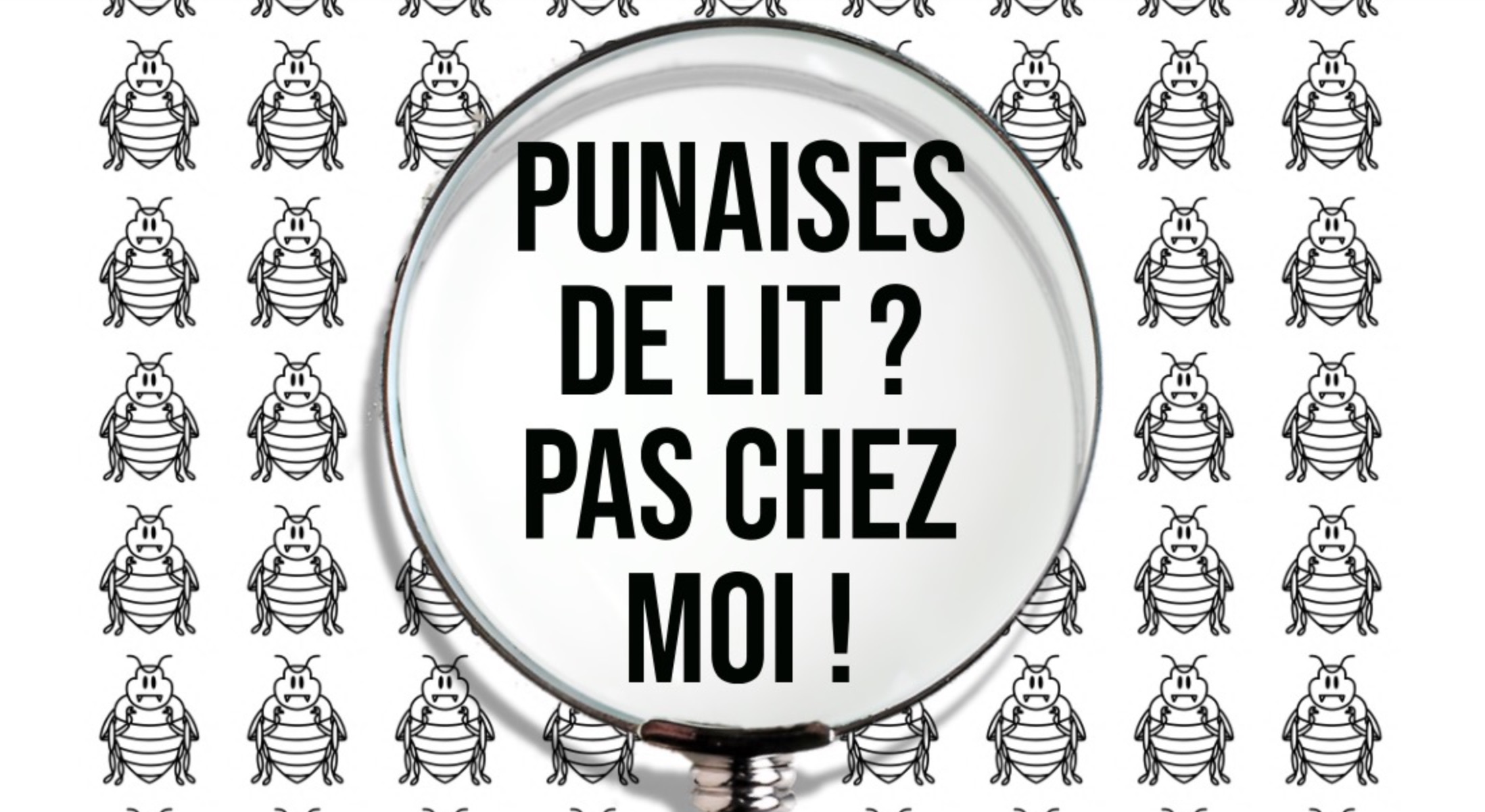 Problème de punaises de lit ?