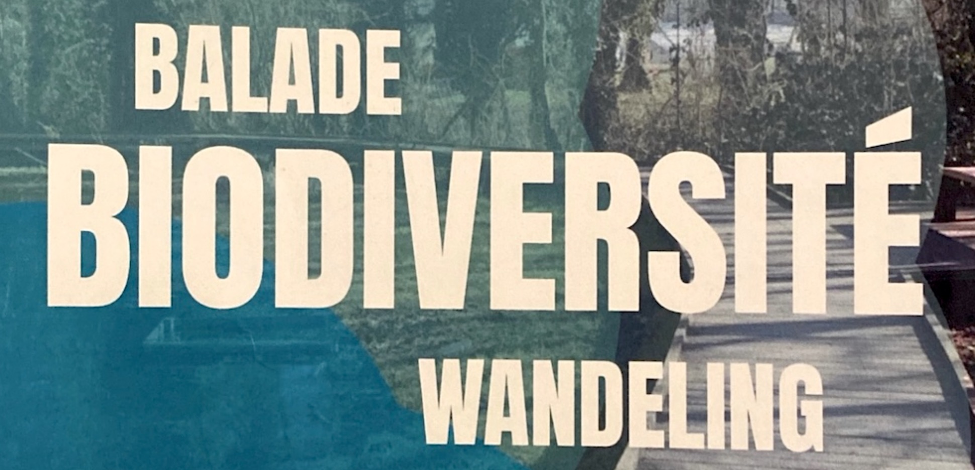 31/05, balade biodiversité