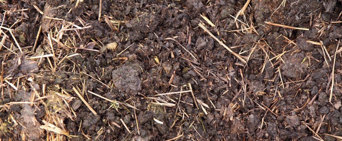 Du compost local pour vos potagers ?