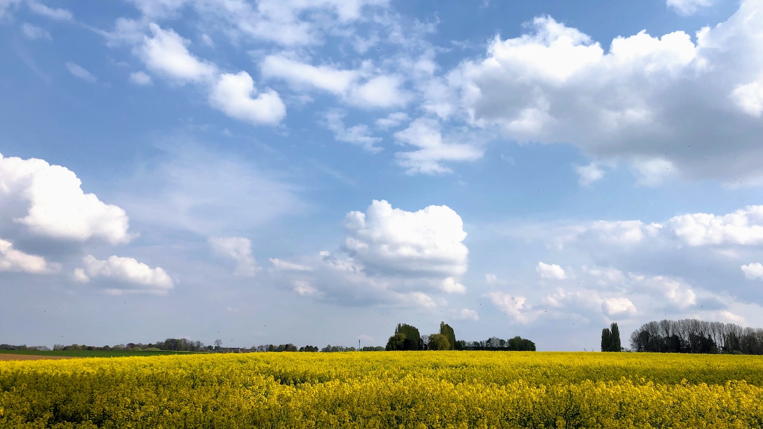 Stages & activités d’été