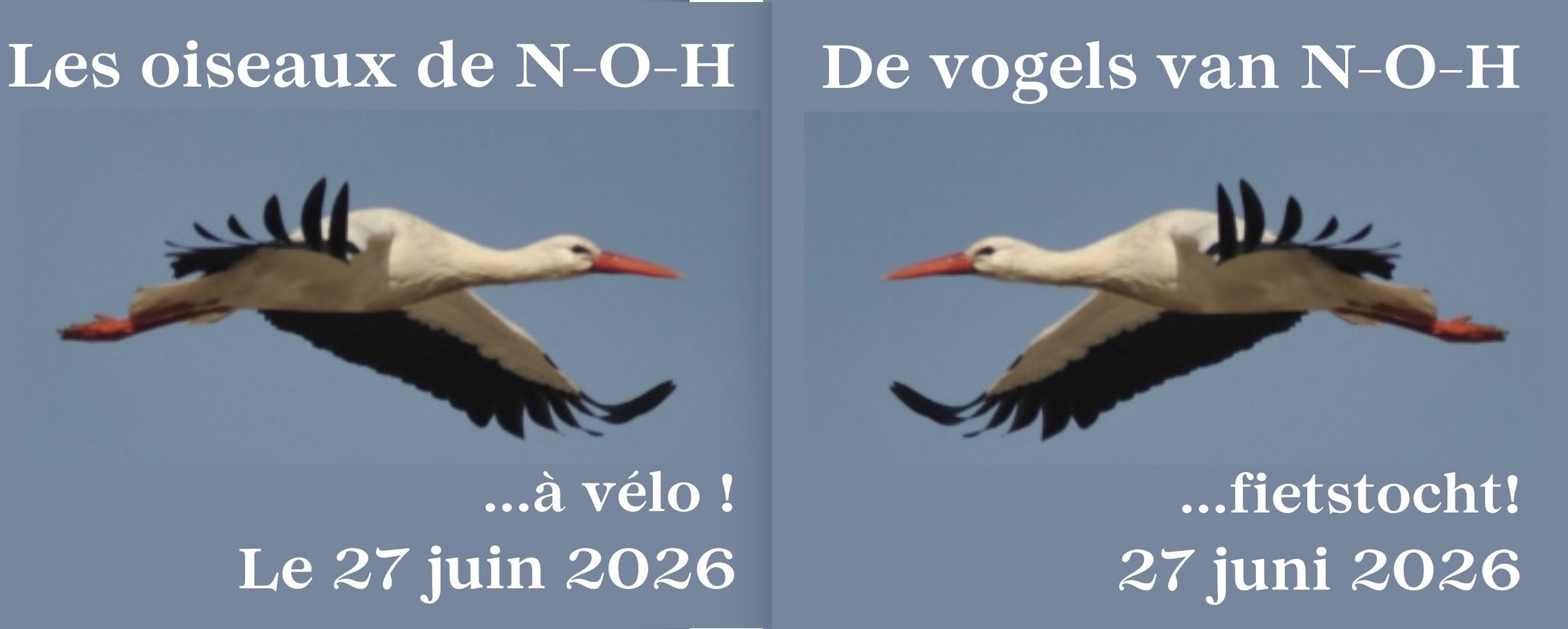 27/06, balade ornithologique à vélo