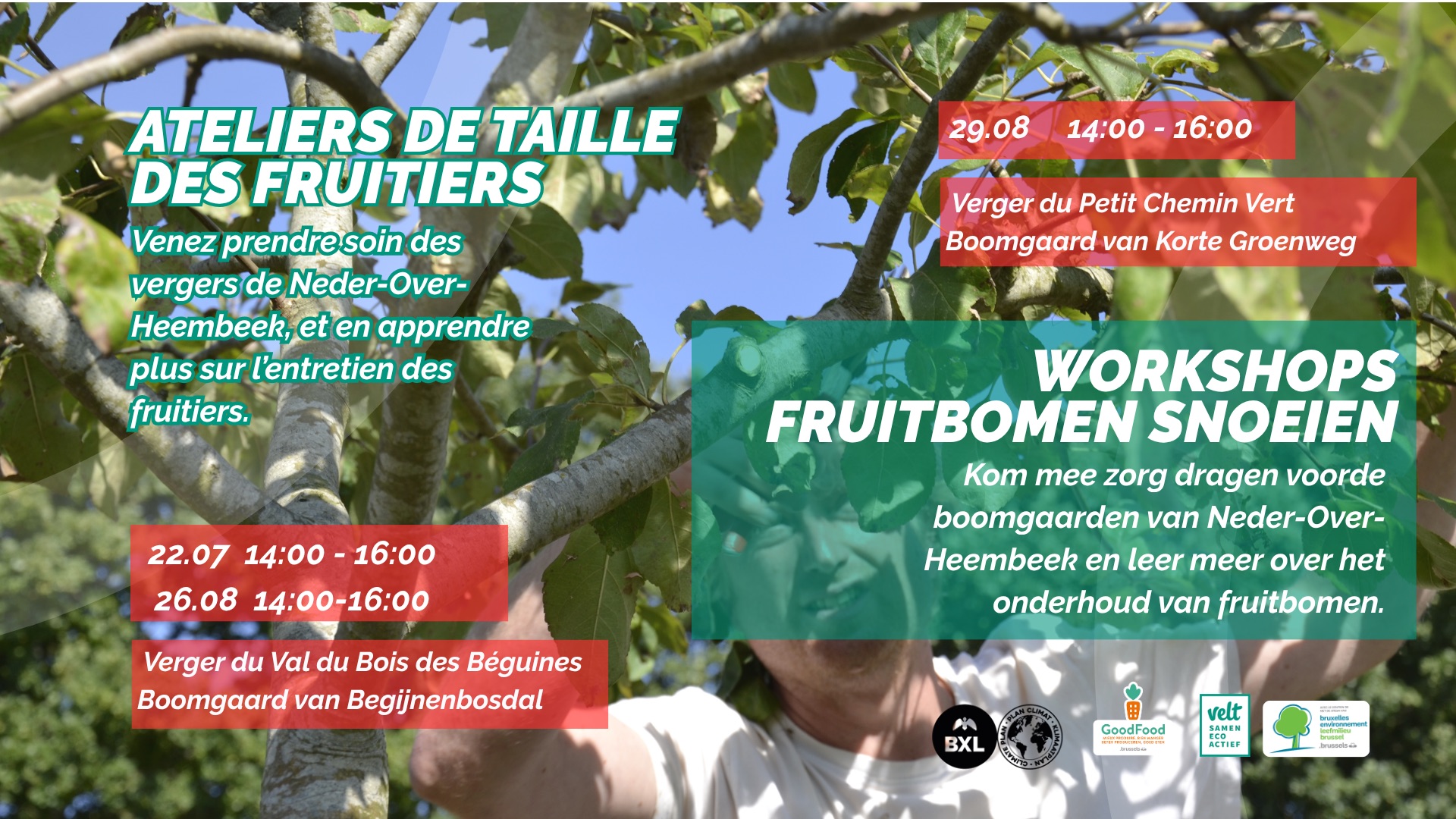 22/07, atelier taille verger collectif val du bois des béguines